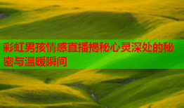 彩虹男孩情感直播揭秘心灵深处的秘密与温暖瞬间